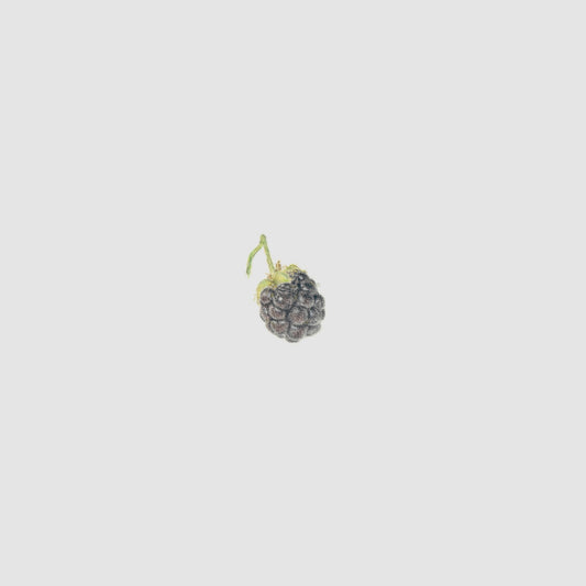 Blackberry